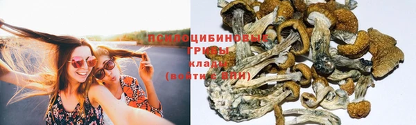 гидропоника Коряжма