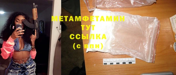 крисы Козловка
