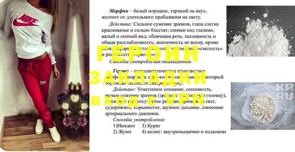 крисы Козловка
