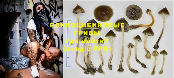 крисы Киреевск